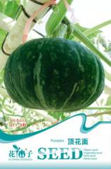 Giant Pumpkin seeds 8 seeds/bags