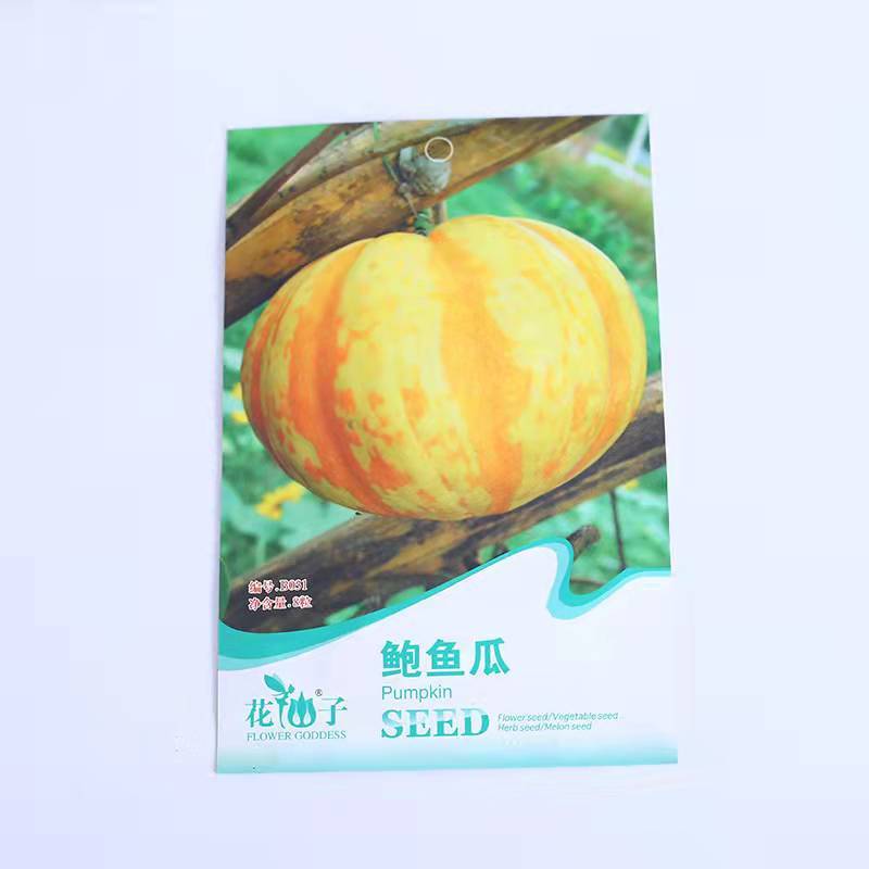 Pumpkin seeds 8 seeds/bags