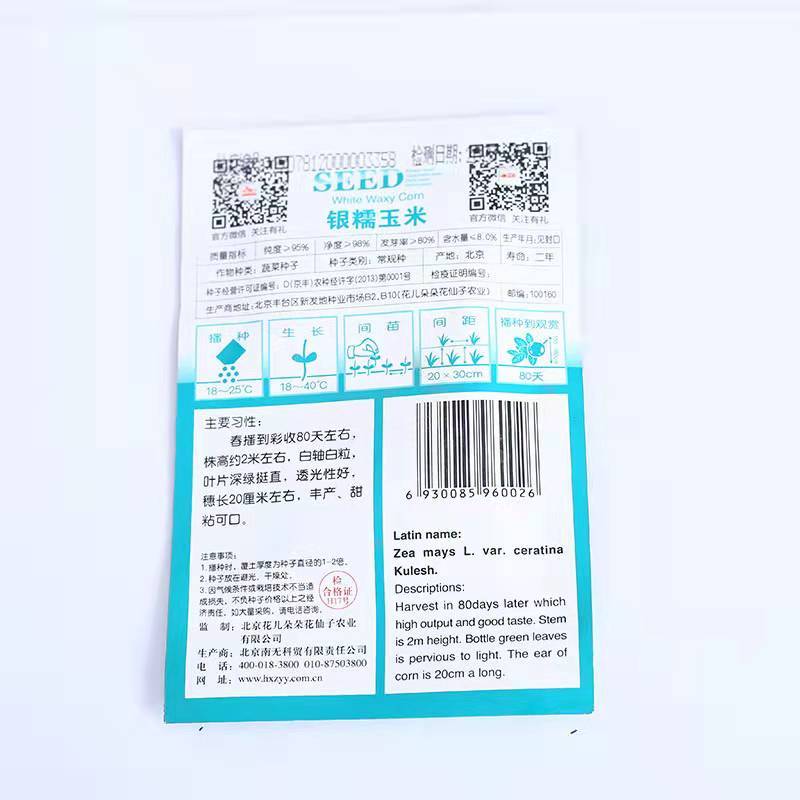 White corn seeds 10 seeds/bags