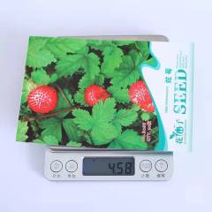 Indian strawberry seeds 50 seeds/bags