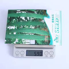 Luffa Acutangula seeds 8 seeds/bags