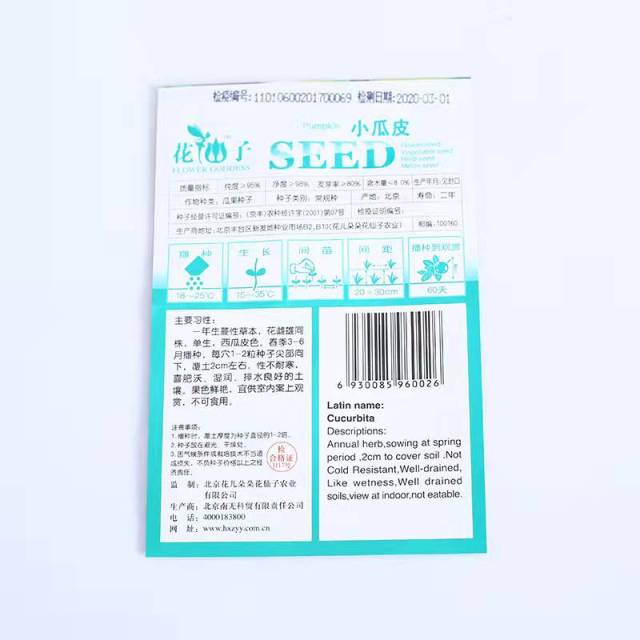 Tiny pumpkin seeds 8 seeds/bags