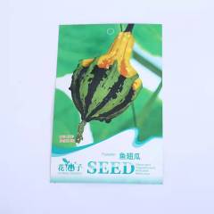 Ornamental pumpkin seeds 8 seeds/bags