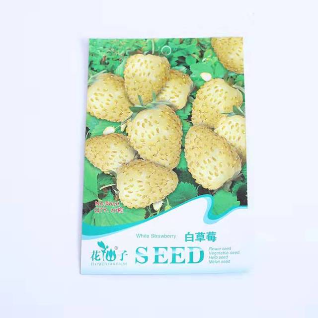 White strawberry seeds 20 seeds/bags