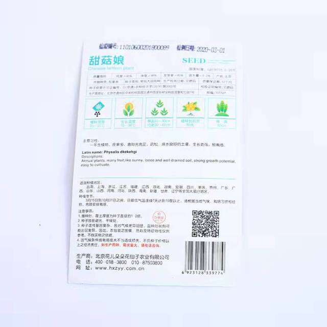 Chinese Lantern plant seeds 40 seeds/bags