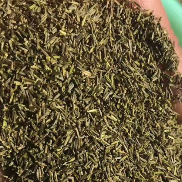 Stevia seeds 1kg