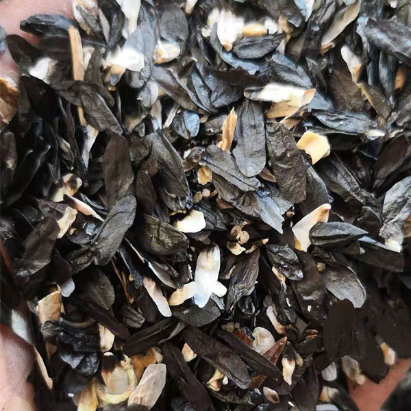 Hosta plantaginea seeds 1kg