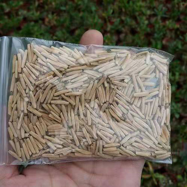 Desert rose seeds 100seeds/bag