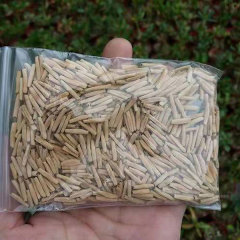Desert rose seeds 100seeds/bag