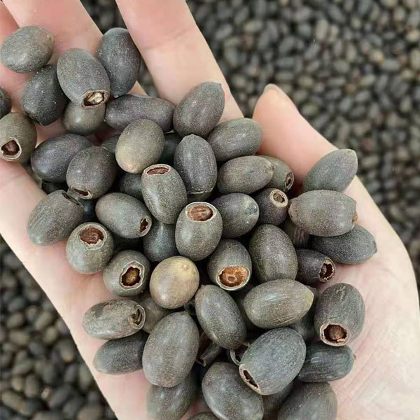 Lotus seeds 1kg