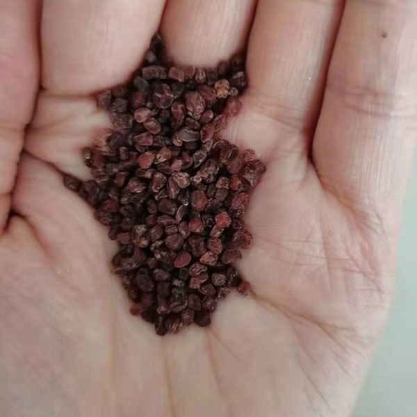 cyclamen seeds 100seeds/bag
