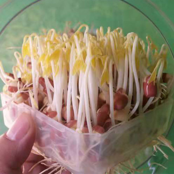 Red bean sprouting seeds 1kg