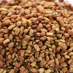 Vanilla sprouting seeds 1kg