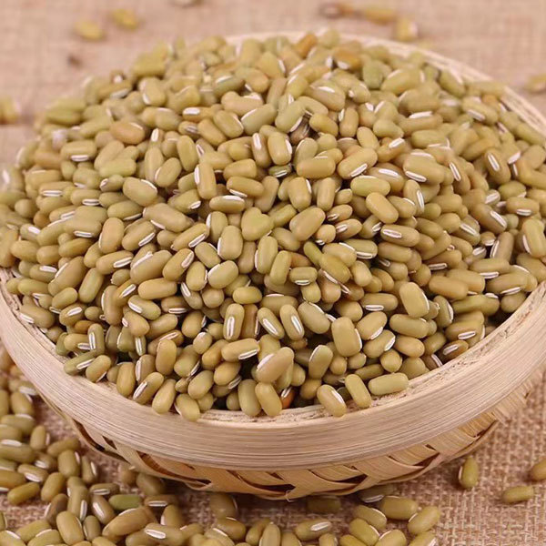 Climbing bean sprouting seeds 1kg