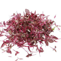 Red amaranth sprouting seeds 1kg
