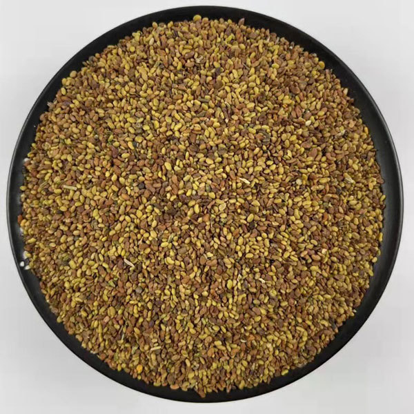 Alfalfa sprouting seeds 1kg