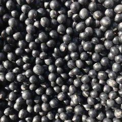 Black bean sprouting seeds 1kg