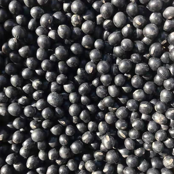 Black bean sprouting seeds 1kg