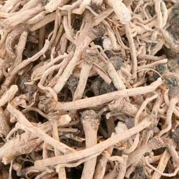 Isatis root seeds/Radix Isatidis seeds 1kg