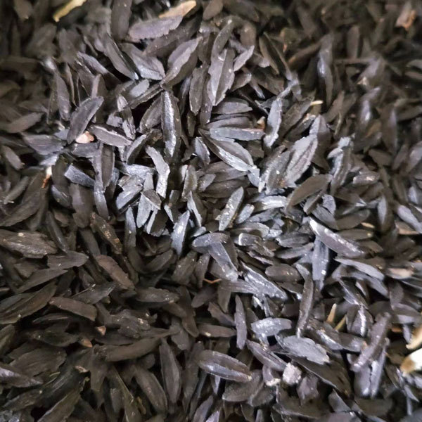 Rhizoma Anemarrhenae seeds 1KG