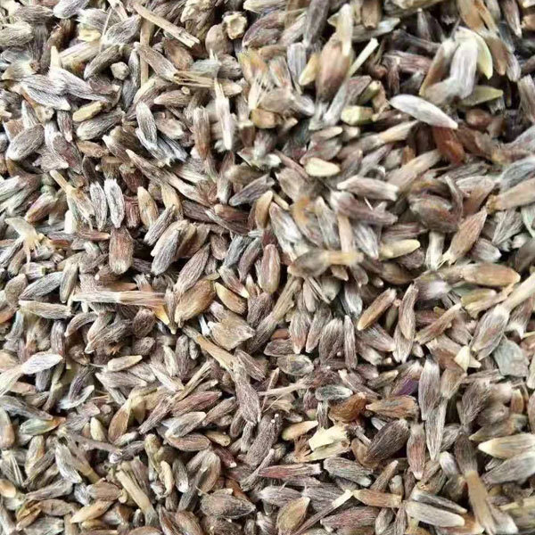 Atractylodes macrocephala seeds 1kg