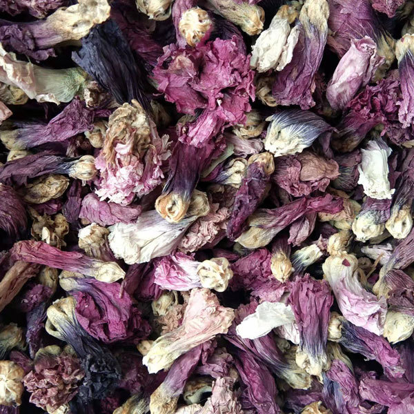 Hollyhock seeds/Althaea rosa seeds 1kg