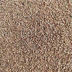 Perilla seeds 1KG