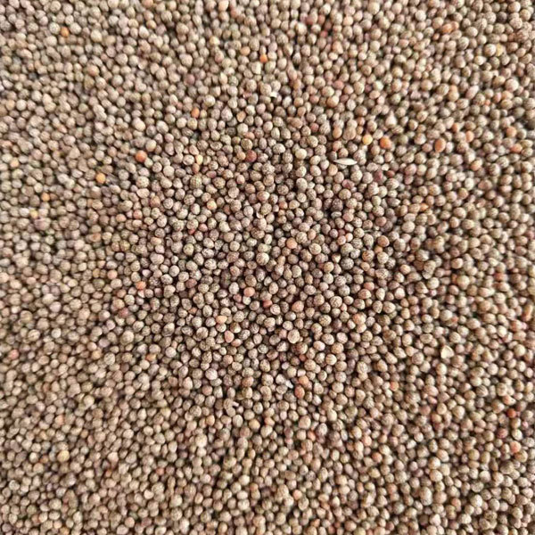 Perilla seeds 1KG