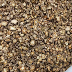 Saposhnikovia divaricata seeds 1kg