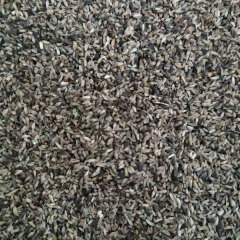 Dipsacus asper seeds 1kg