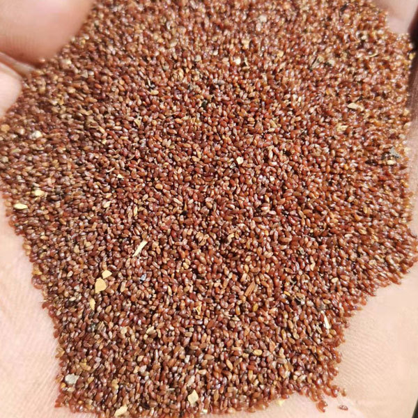 Gentiana macrophylla seeds 1kg