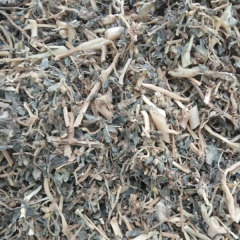 Portulaca oleracea seeds 1kg