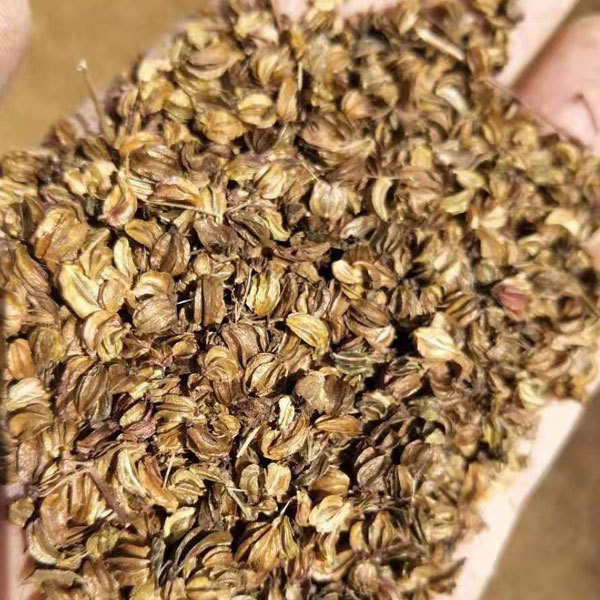 Notopterygium incisum seeds 1kg