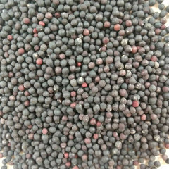 Vaccaria segetalis seeds 1kg