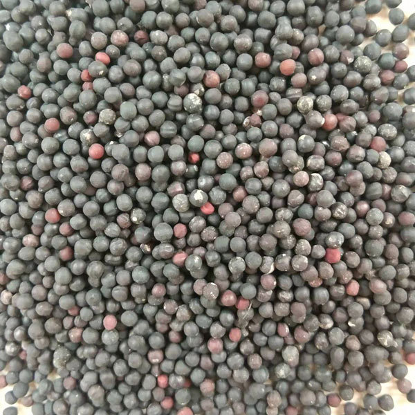 Vaccaria segetalis seeds 1kg