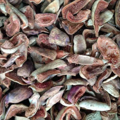 Vaccaria segetalis seeds 1kg