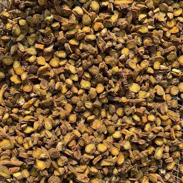 Scutellaria baicalensis seeds 1kg