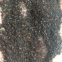 Portulaca oleracea seeds 1kg