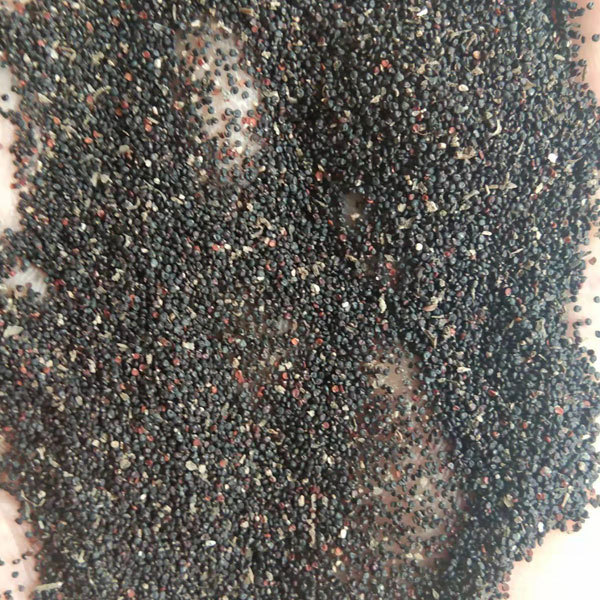 Portulaca oleracea seeds 1kg