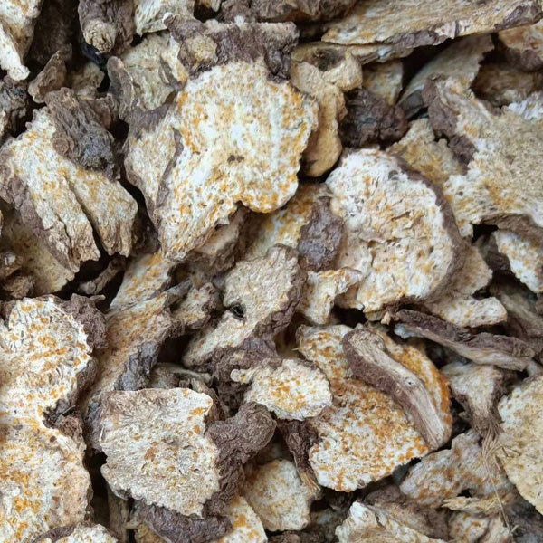Atractylodes lancea seeds/rhizoma atractylodis seeds 1kg