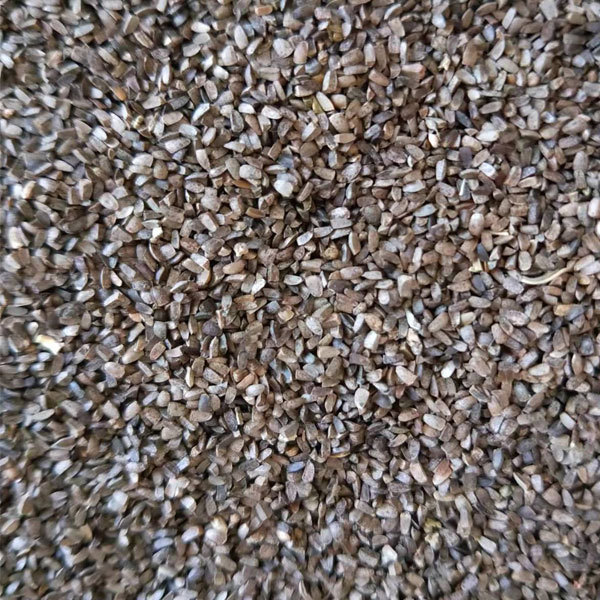 Leonurus artemisia seeds/motherwort seeds 1kg