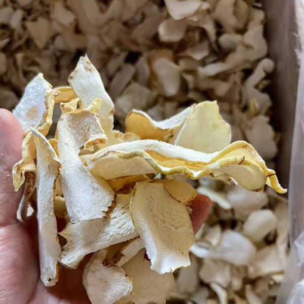 Polygonatum sibiricum seeds 1kg