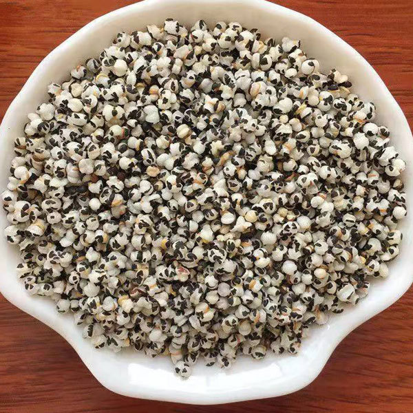 Vaccaria segetalis seeds 1kg