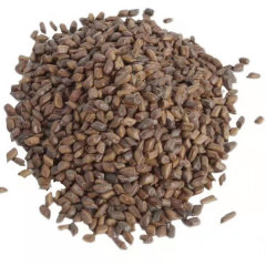 Cassia tora seeds 1kg