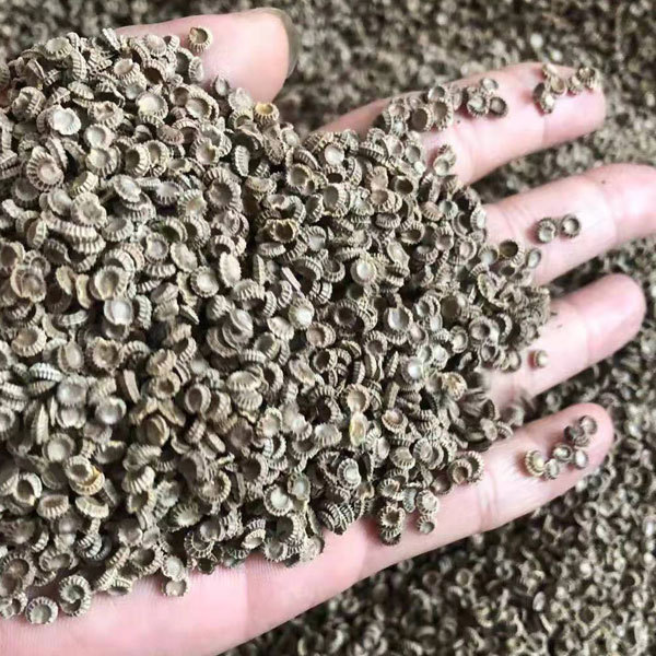 Stephania tetrandra seeds 1kg