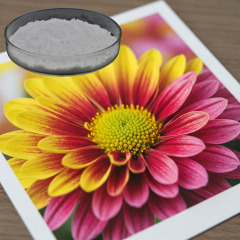 Silica for inkjet media