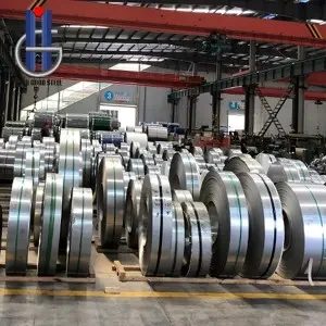 Extra hard stainless steel strip