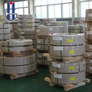 Extra hard stainless steel strip