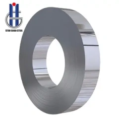 Stainless steel strip