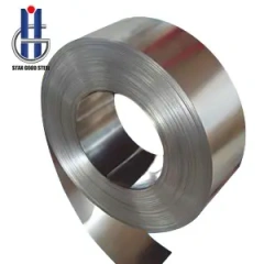 Extra hard stainless steel strip